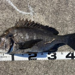 イチノ兄弟、釣果！