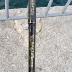 運が良かったです