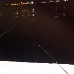 １日チャレンジ