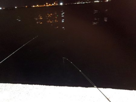 １日チャレンジ