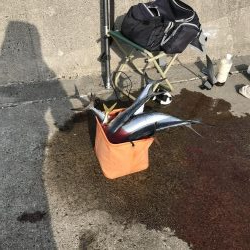 爆釣きたー‼︎