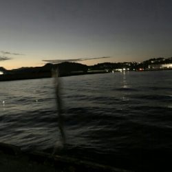 Humiliation（屈辱）