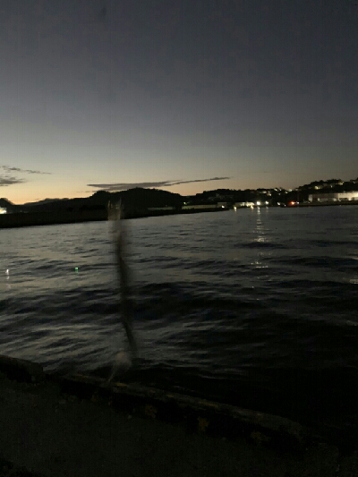 Humiliation（屈辱）