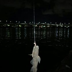 チャリ~ンチャリ~ンのにょろにょろ~