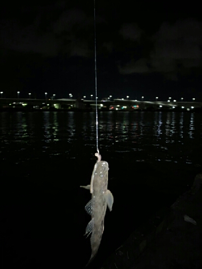 チャリ~ンチャリ~ンのにょろにょろ~