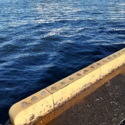 大潮４日目アジング