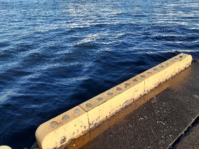 大潮４日目アジング