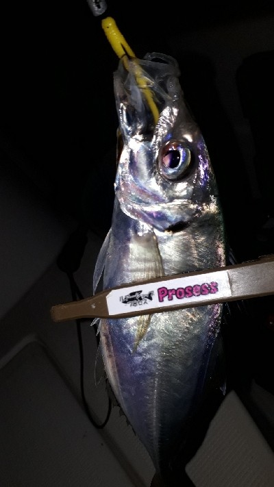 ボートアジング