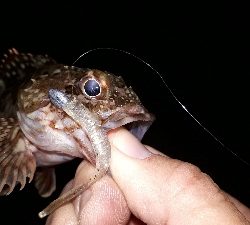 ロックマン魂炸裂