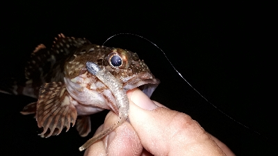 ロックマン魂炸裂