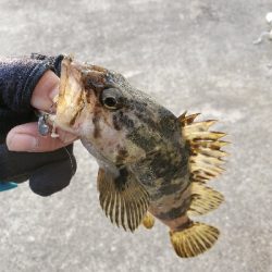 シーズン初メバリング