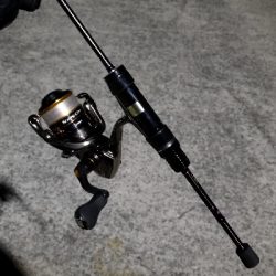 今季初アジング　成功！