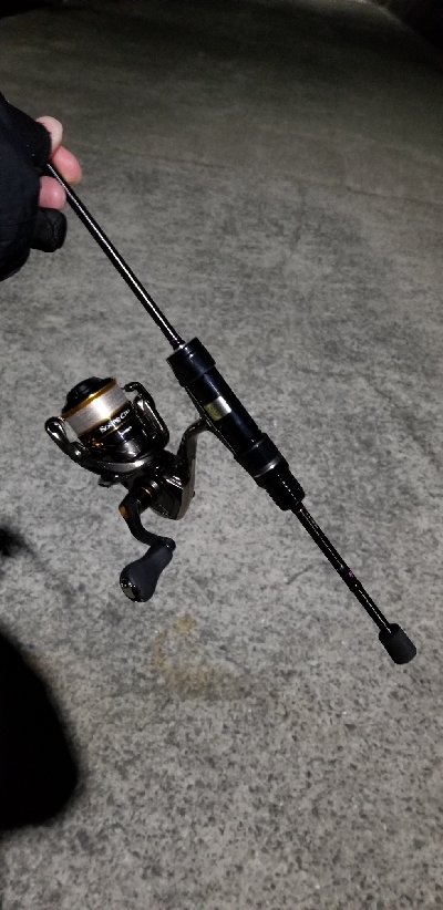 今季初アジング　成功！