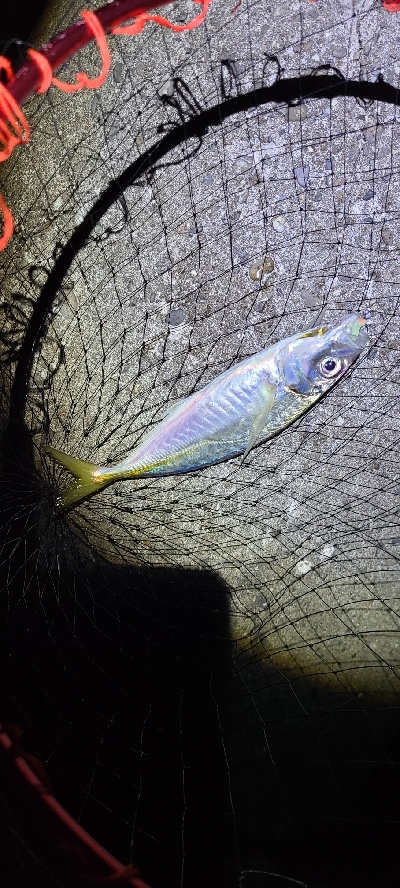 フロートアジング