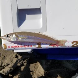 今年最後の釣行！