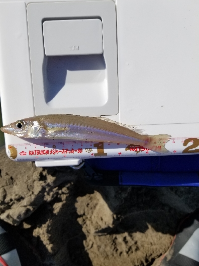 今年最後の釣行！