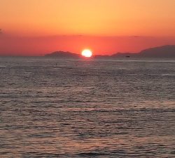 １日粘りましたが