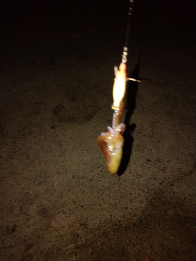 激シブヒイカゲーム