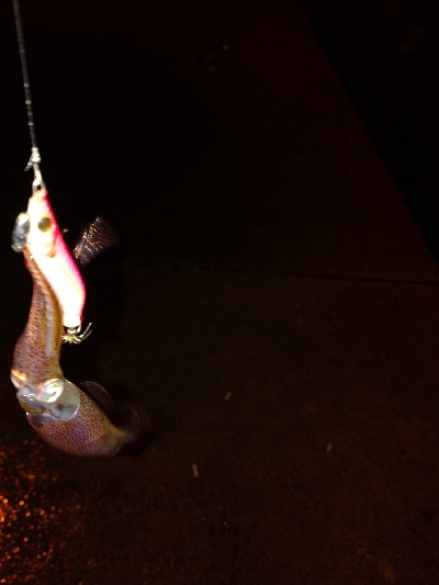 雨降りヒイカゲーム