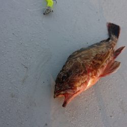 南港ガシリング