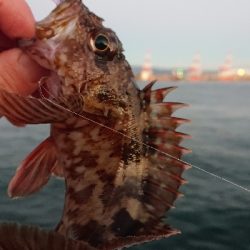 南港ガシリング