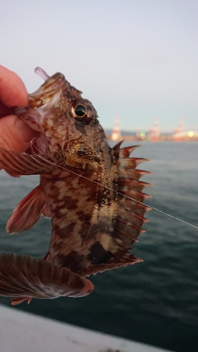 南港ガシリング