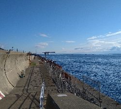 平磯でマグレカンダイ