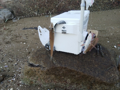 室津のキス釣り