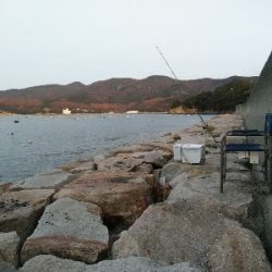 室津のキス釣り