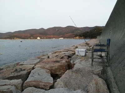 室津のキス釣り