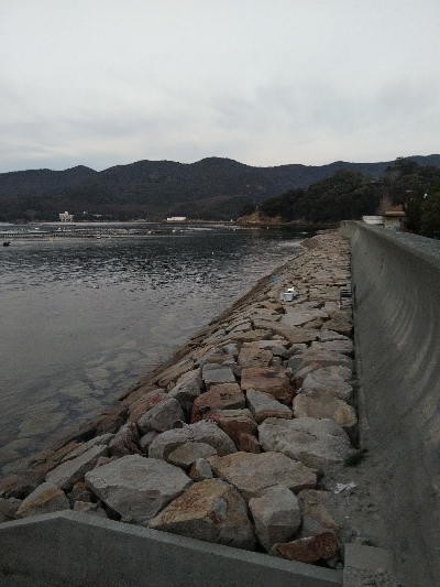 室津のキス釣り