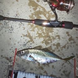 予想外の大物で締め括り