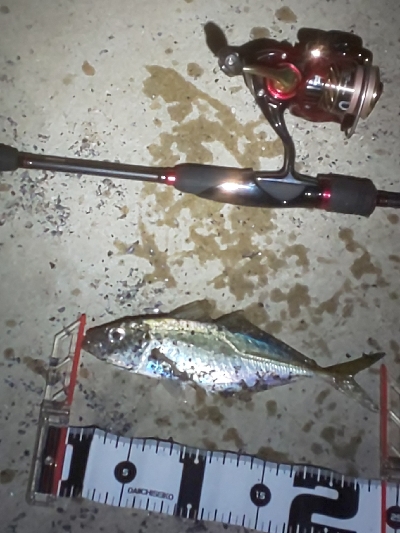 予想外の大物で締め括り