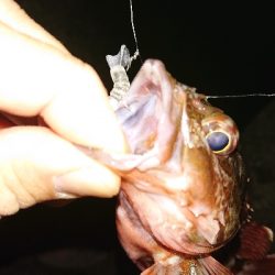 そろそろメバリング