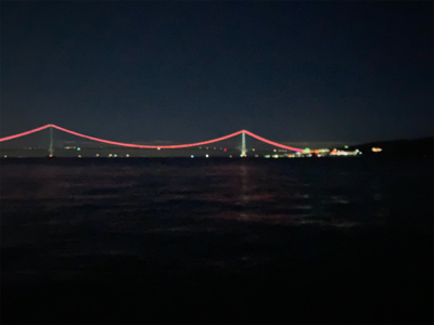 たぶん今年ラストエギング