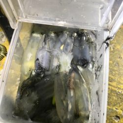 地合いは突然＼(^o^)／