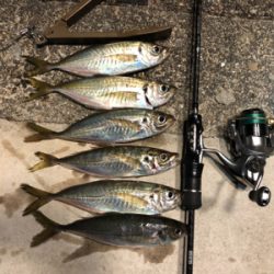 ちょっとだけアジング