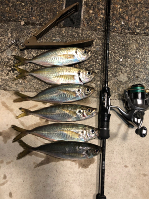 ちょっとだけアジング