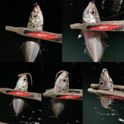 アジミルク　バチ　オキアミ赤ラメ