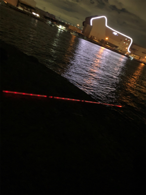 穴子リベンジ！