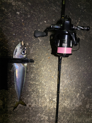 中央市場近くで五目釣り