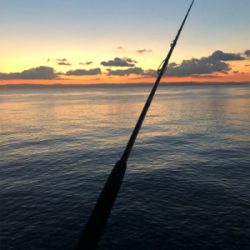 遠征したけど渋い