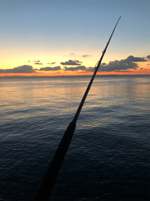 遠征したけど渋い