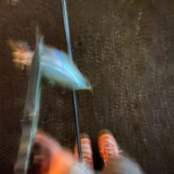 初めてのキャロ