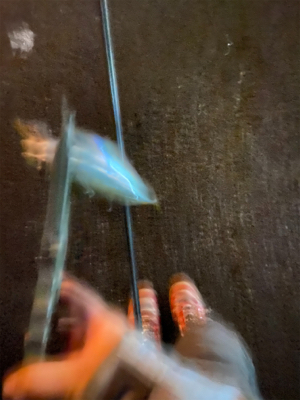 初めてのキャロ