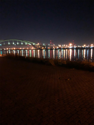 昨晩に引き続きチヌ釣り