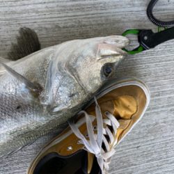 中古ルアー爆発