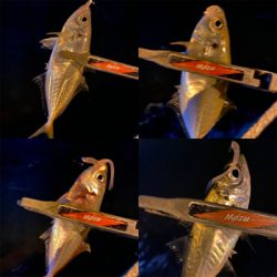 激流ポイントを攻略