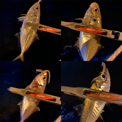 激流ポイントを攻略