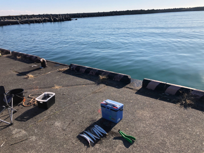 朝一のみカマス釣れてます